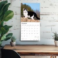 Zwart Wit Katten Kalender 2026 - thumbnail