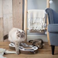 District 70 SNAKE - White - thumbnail