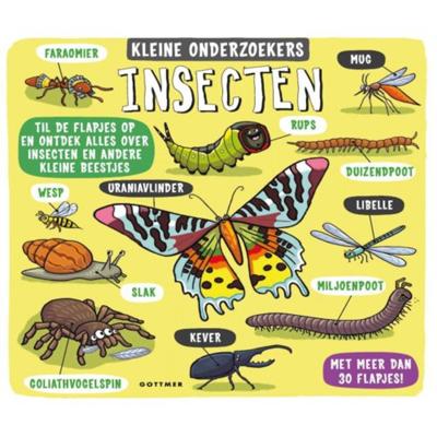 Insecten Insecten