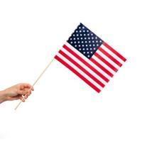 Zwaaivlaggetjes USA 20x30cm (10st) - thumbnail