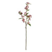 Kunst Malus Sargentii tak 75cm - rood - thumbnail