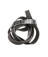 Multiriem set 529001710 - thumbnail