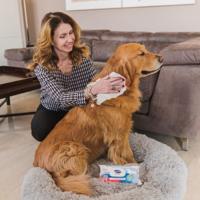 Vochtige Doekjes - thumbnail