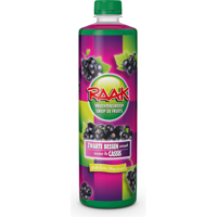 RAAK Vruchtensiroop Zwarte Bessen 0,75 L bij Jumbo - thumbnail
