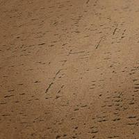 Livingwalls Metropolitan Stories 2 bruin behang | 379045 - thumbnail