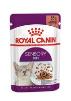 Royal Canin Sensory Feel natvoer kat (in saus) 2 dozen (24 x 85 g) - thumbnail