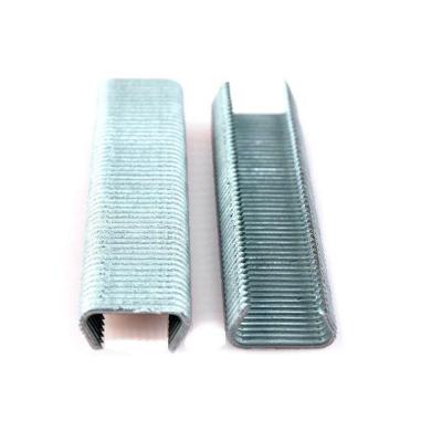 Giardino Producten/gaaskrammen verzinkt 20mm 1000st Giardino Producten/gaaskrammen verzinkt 20mm 1000st