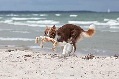 TRIXIE BE NORDIC ZEESTER JANE PLUCHE / TOUW BEIGE 32 CM 2 ST TRIXIE BE NORDIC ZEESTER JANE PLUCHE / TOUW BEIGE 32 CM 2 ST