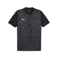 PUMA teamGLORY Voetbalshirt Zwart Wit Grijs - thumbnail
