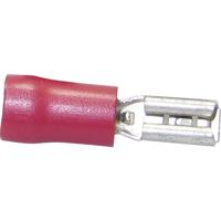 TRU COMPONENTS 1583061 Platte stekker (female) Insteekbreedte: 4.80 mm Insteekdikte: 0.80 mm 180 ° Deels geïsoleerd Rood 1 stuk(s) - thumbnail