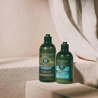 L'Occitane Essential Oils Freshness Shampoo 300ml - thumbnail