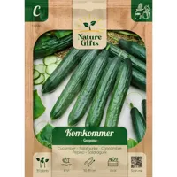 Komkommer gergana 35st - thumbnail