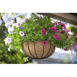Hanging basket van smeedijzer rond 35 cm Hanging basket van smeedijzer rond 35 cm