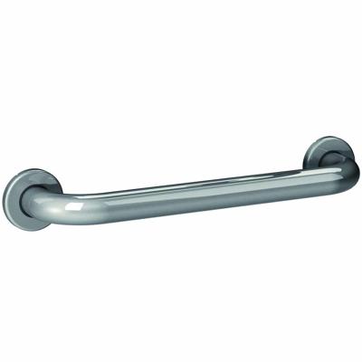 Wandbeugel RVS | Lengte: 60 cm | Montage schroeven | Voor badkamer & toilet | Max. gebruikersgewicht 150 kg | Atlantis | PR50944-60