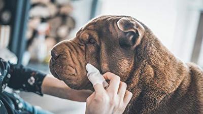 VETOCANIS Grote reinigingsdoekjes - voor honden en katten