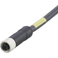ifm Electronic E12494 Aansluitkabel Aantal polen (sensoren): 4 Bus, recht 0.5 m 1 stuk(s) - thumbnail