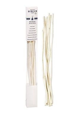 Maison Berger Paris parfumverspreider aroma happy aquatic freshness 180 ml