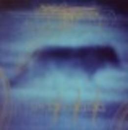 Boris With Ian Astbury - CD (0808720012026)