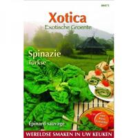 Zaden Xotica Turkse Spinazie (wilde) Buzzy - Buzzy - thumbnail
