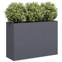 Plantenbak 120x40x80 cm koudgewalst staal antracietkleurig - thumbnail