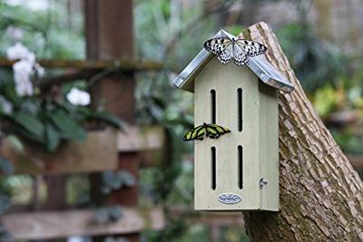 Vlinderkast Esschert Design - Best for birds