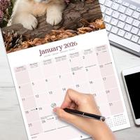 Baby Animals Kalender 2026 - thumbnail