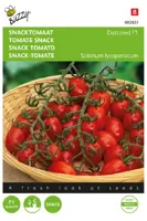 Zaden snacktomaat dattored f1 8 zaden Buzzy - Buzzy - thumbnail