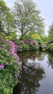 Tuinschilderij bloemenpracht 130x70 Customize-it - Customize it