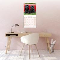 Labrador Retriever Zwart Kalender 2026 - thumbnail