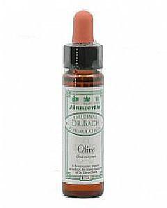 Ainsworths Olive Bach 10 Milliliter