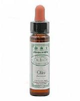 Ainsworths Olive Bach 10 Milliliter - thumbnail