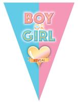 Vlaggenlijn Gender Reveal 5m - thumbnail