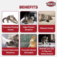 TRIXIE MUIS MET MICROCHIP PLUCHE MET KATTENMUNT ASSORTI 6 CM 12 ST - thumbnail