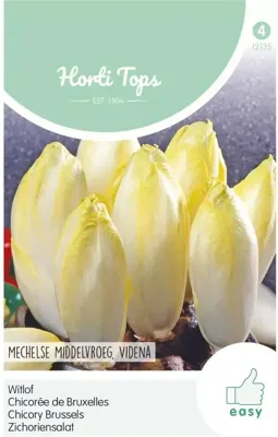 Zaden Witlof Mechelse Middelvroeg Videna Hortitops - Hortitops