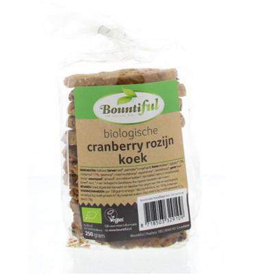 Cranberry rozijnkoek bio