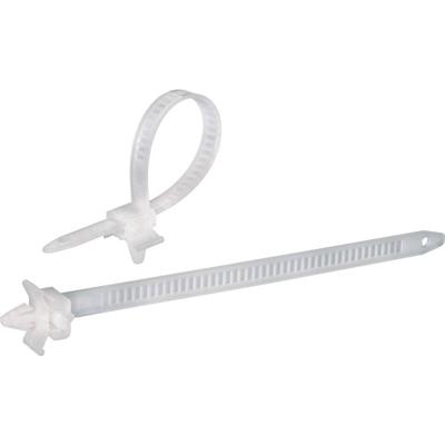 TRU COMPONENTS 1592899 TC-PHV150203 Kabelbinder 150 mm 7.90 mm Natuur Met spreidanker 100 stuk(s) TRU COMPONENTS 1592899 TC-PHV150203 Kabelbinder 150 mm 7.90 mm Natuur Met spreidanker 100 stuk(s)