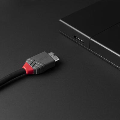 Lindy 36621 USB-kabel 1 m USB 3.2 Gen 1 (3.1 Gen 1) USB C Micro-USB B Zwart - thumbnail