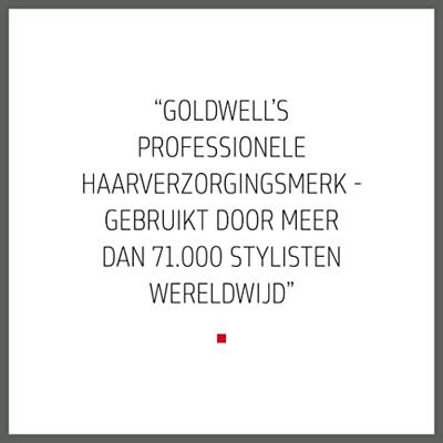 Goldwell Men Dualsenses Anti-Dandruff Shampoo 300ml - thumbnail
