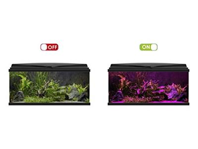 CIANO CLN5 wit en RGB 1.5W led ramp + transformator voor nexus Betta Life 5C en Diamond 14C CIANO