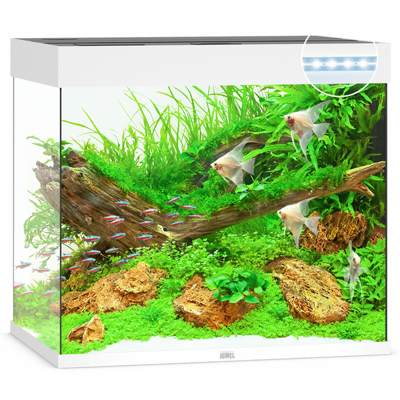 Juwel aquarium Lido 200 LED met filter licht eiken Juwel Gebr. de Boon - Gebr de boon