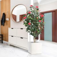 Camelia Japonica deluxe kunstplant 150cm - rose - thumbnail