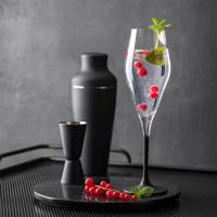 VILLEROY & BOCH - Manufacture Rock - Champagneglas 0,26l Set/4 - thumbnail