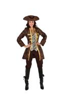 Pirate Bruin - thumbnail