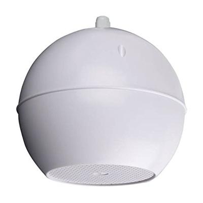 DAP SS-105 Bolvormige 100V luidspreker 100V 10W 5 inch