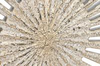 Wanddecoratie Home ESPRIT Wit Gouden Neoklassiek 91 x 3 x 91 cm - thumbnail