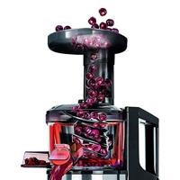 MPM MSO-12M citruspers/sapmaker Slowjuicer 150 W - thumbnail