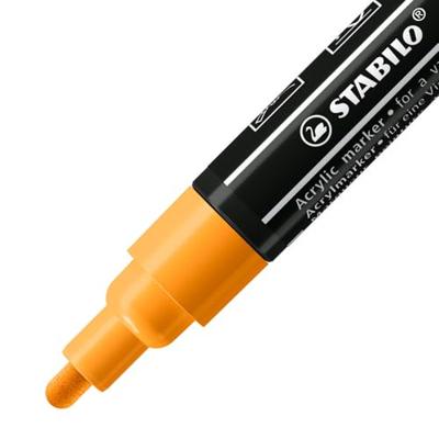 STABILO free acrylmarker, starter kit, pak van 11 stuks STABILO free acrylmarker, starter kit, pak van 11 stuks