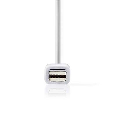 Nedis CCGP37460WT02 Mini-displayport Multi-adapterkabel Mini-displayport Male - Displayport Female + Dvi-d 24+1-pins Female + Hdmi-uitgang 0,2 M Wit
