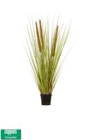 Gras curve pvc 104cm - thumbnail