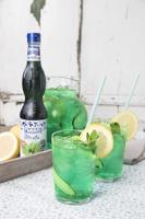 Fabbri - Munt Siroop - 560ml - thumbnail